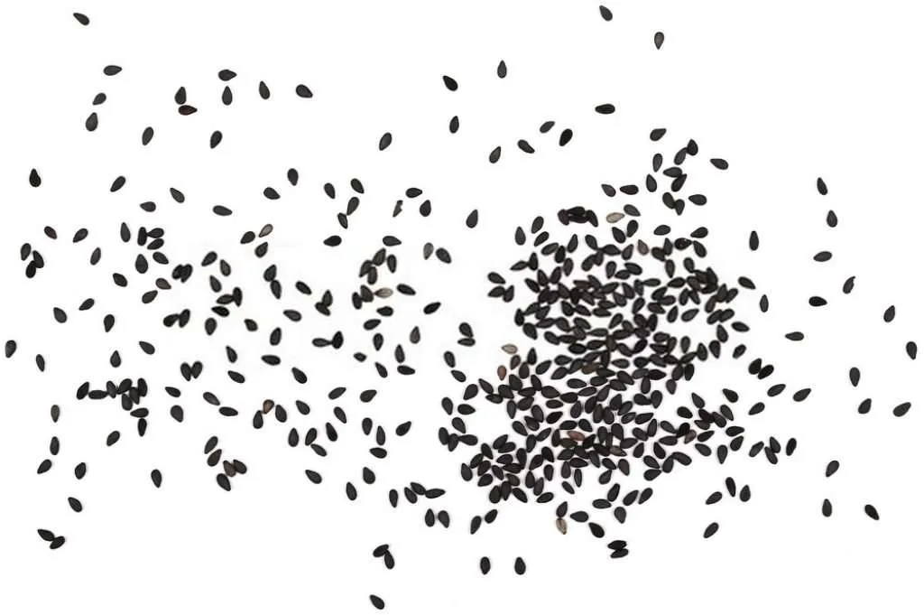 sesame-seed-like-things-in-stool