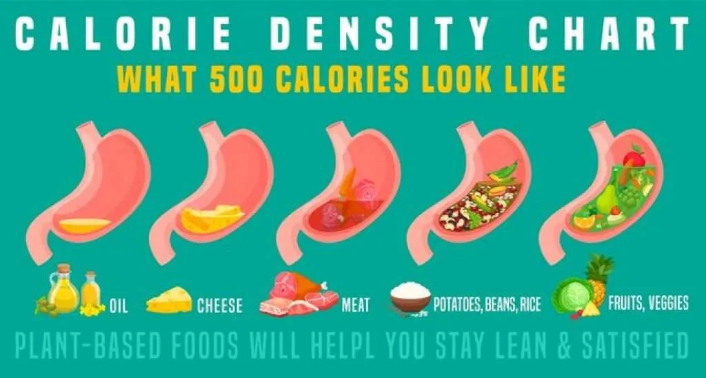 500-calories