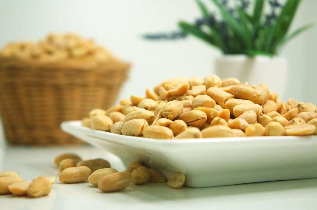 Are peanuts good for diabetes?