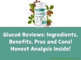 Gluco6 Reviews: Ingredients, Benefits, Pros and Cons! Honest Analysis Inside!